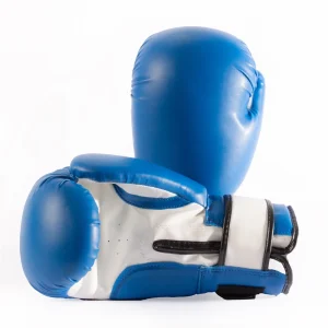 Premium Vinyl Boxing Gloves
